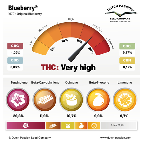 Blueberry Terpenes